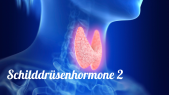 thumbnail of medium Schilddrüsenhormone 2