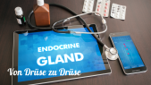 thumbnail of medium Von Drüse zu Drüse