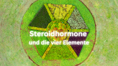 thumbnail of medium Steroidhormone und die vier Elemente