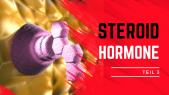 thumbnail of medium Steroidhormone 3