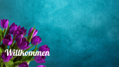 thumbnail of medium Willkommen
