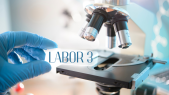 thumbnail of medium Labor 3: Steroidhormone
