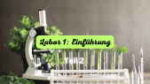thumbnail of medium Labor 1 Teil 2