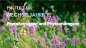 thumbnail of medium WJ 3: Phytoöstrogene und Phytoandrogene