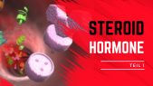 thumbnail of medium Steroidhormone 1